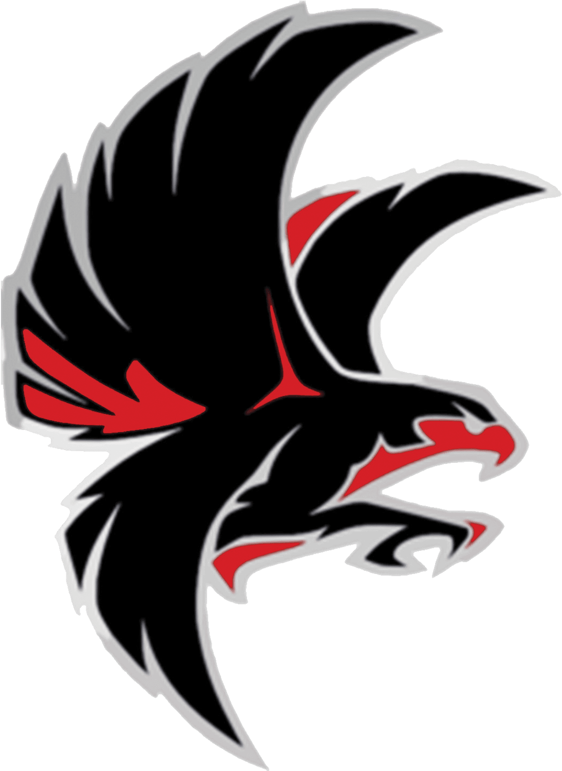 Falcon School Mascot Falcon School - Nation Ford High School - Transparent PNG Free Download | PNGio