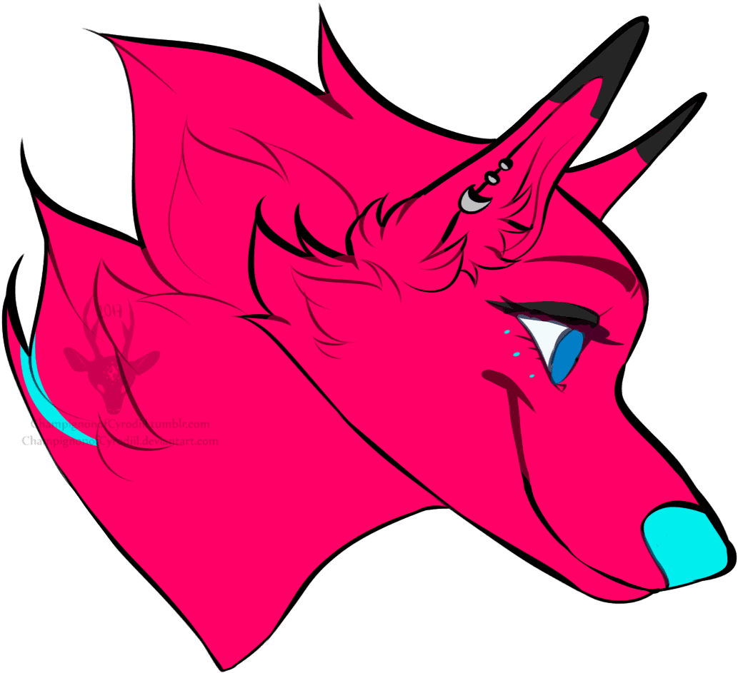 Stuff For People On Da - Cartoon - Transparent PNG Free Download | PNGio