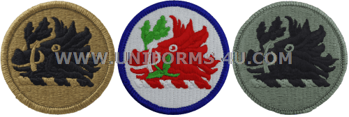 Air Force Falcons Alabama Crimson Tide Arizona State - Georgia National Guard Acu Patch - Transparent PNG Free Download | PNGio