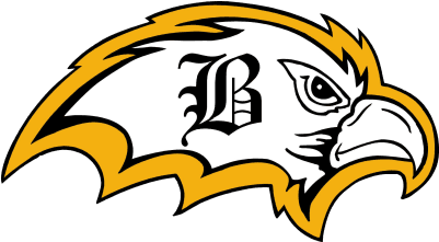 Falcons Athletics - Brownsville Area High School - Transparent PNG Free Download | PNGio