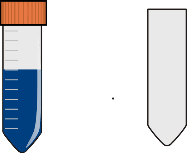 Blood Falcon Clip Art Vector Online Royalty Free & - Clip Art - Transparent PNG Free Download | PNGio