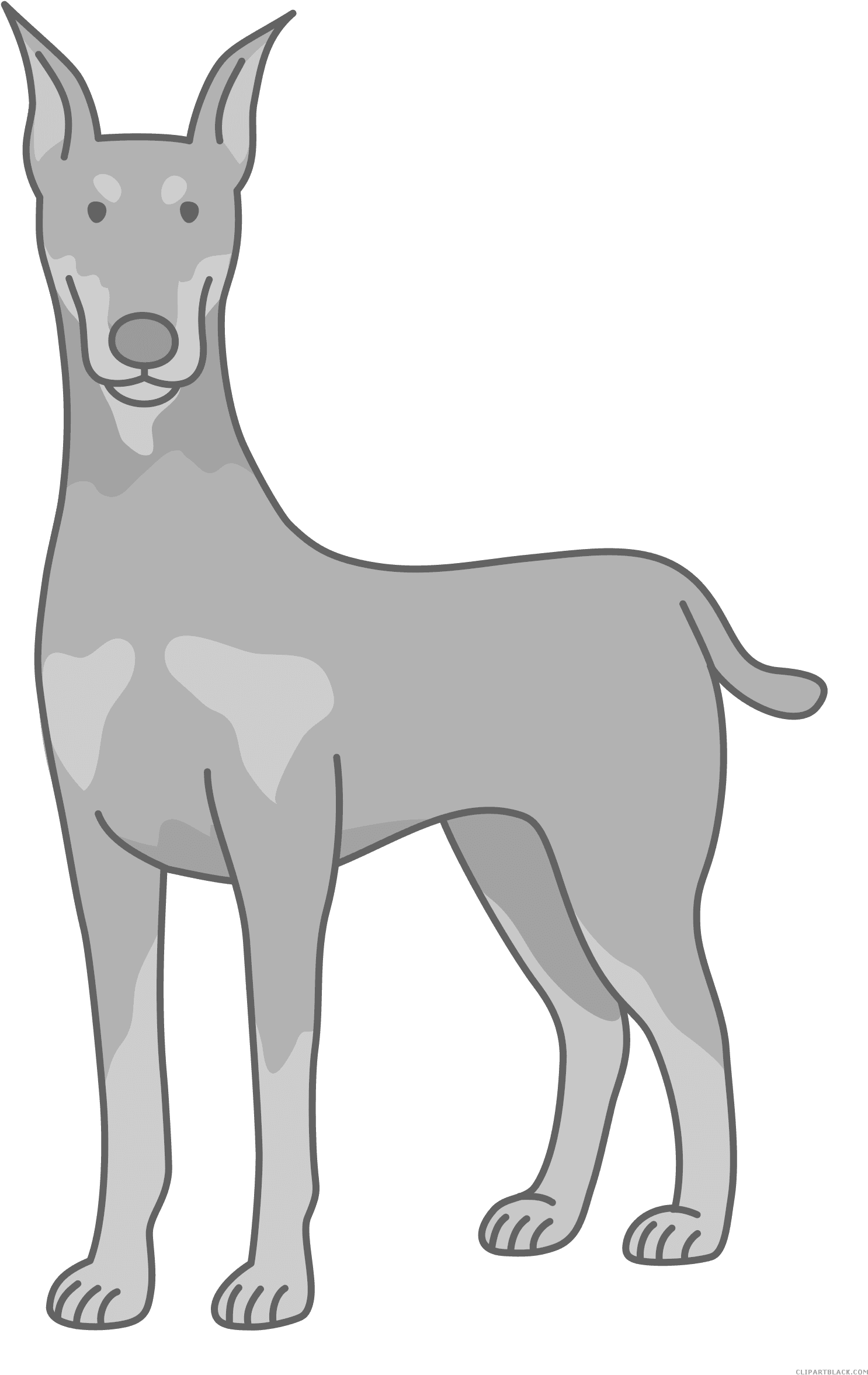 Prairie Falcon Clipart Sock - 無料 イラスト ドーベルマン - Transparent PNG Free Download | PNGio