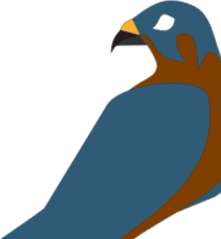 Falcon Clipart Perigan - Parrot - Transparent PNG Free Download | PNGio
