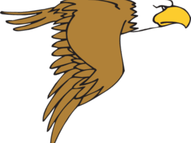 Peregrine Falcon Clipart - Eagle Clip Art - Transparent PNG Free Download | PNGio