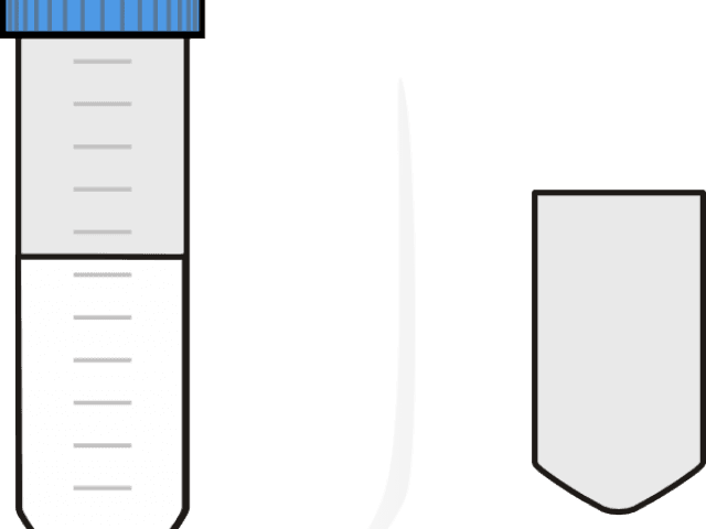 Falcon Clipart Svg - Falcon Clipart Svg - Transparent PNG Free Download | PNGio