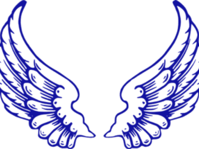 Wings Clipart Falcon - Angel Wings Drawing - Transparent PNG Free Download | PNGio