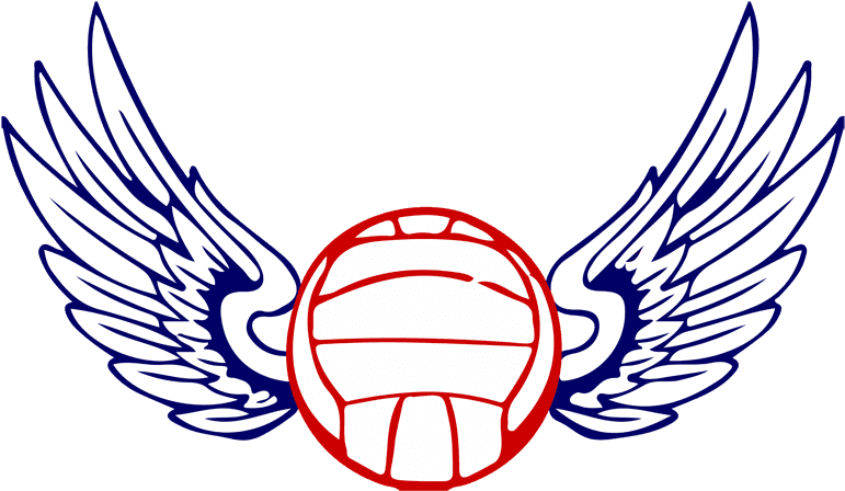 Volleyball Wings Falcon Logo, Volleyball, Wings, Ali - Volleyball Logo With Wings Png - Transparent PNG Free Download | PNGio