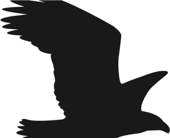 Falcon Clipart Svg - Сокол Силуэт - Transparent PNG Free Download | PNGio