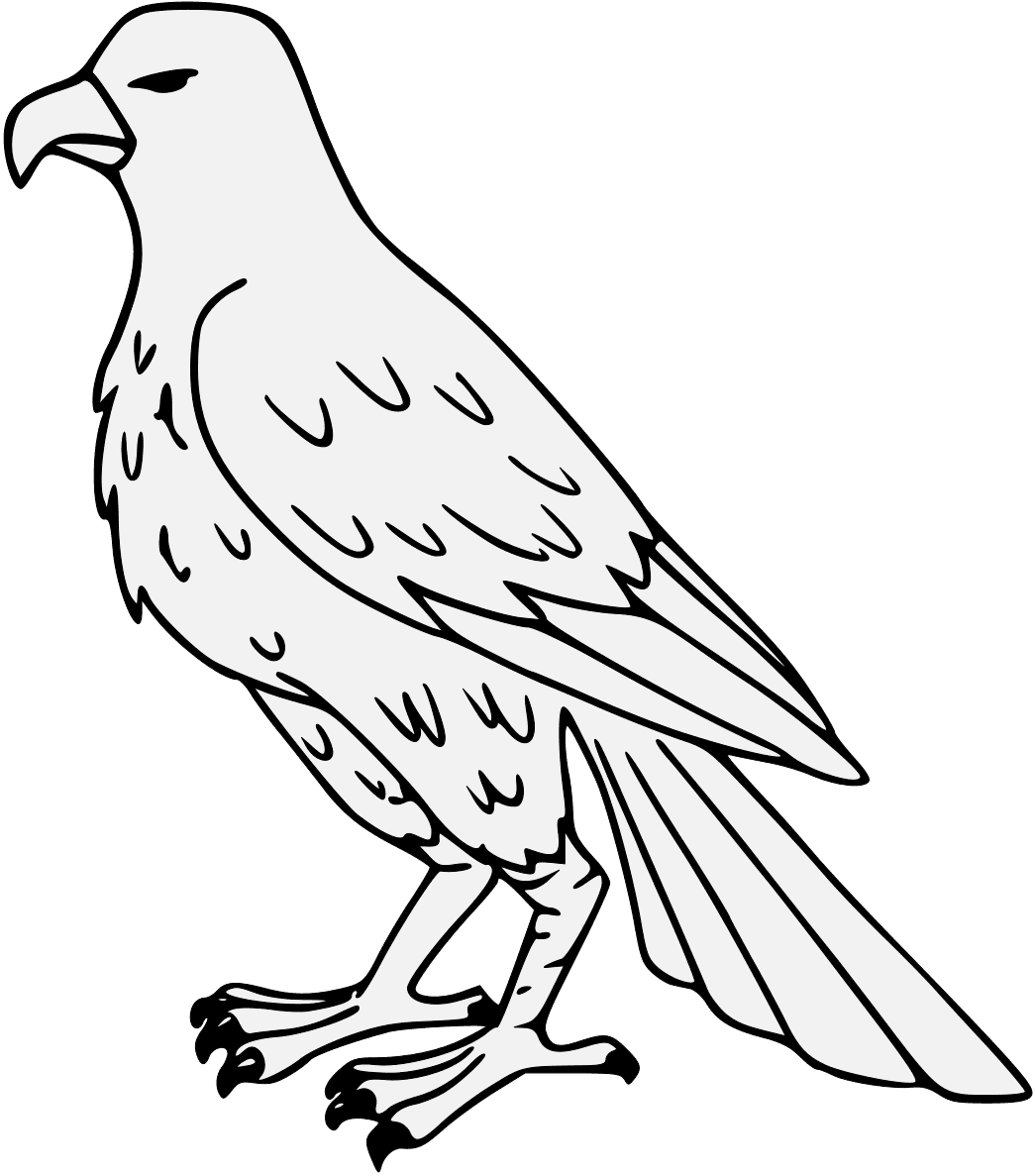 Falcon - Falcon Drawing - Transparent PNG Free Download | PNGio