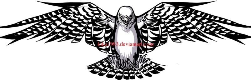 Falcon Tattoo - Transparent PNG Free Download | PNGio
