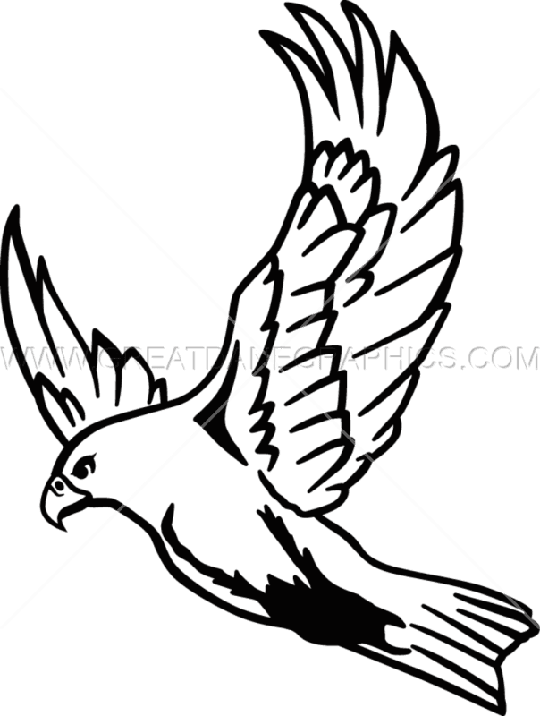 Flying Hawk Drawing At Getdrawings - Falcon Drawing - Transparent PNG Free Download | PNGio