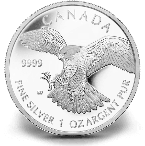 Peregrine Falcon Coin - Transparent PNG Free Download | PNGio