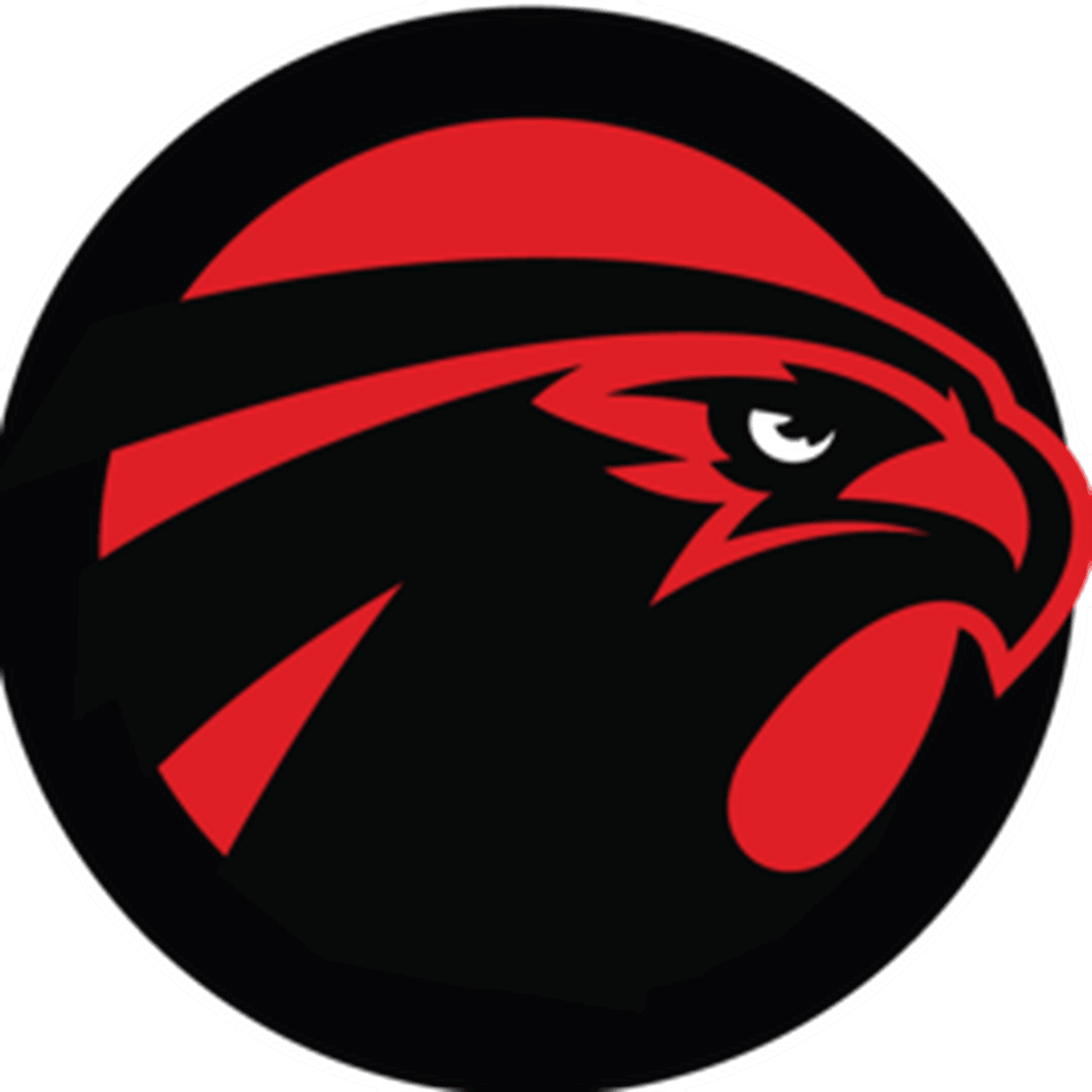 Atlanta Falcons Facts - Sb Nation Falcoholic - Transparent PNG Free Download | PNGio