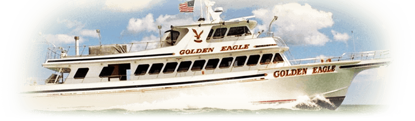 Golden Eagle Is The Premier Charter/party Fishing Boat - New Jersey Shores Show Yacht Party - Transparent PNG Free Download | PNGio