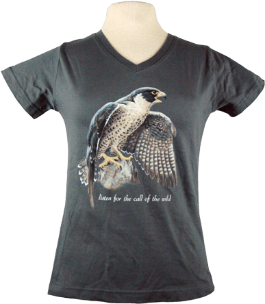 Peregrine Falcon - Shirt - Transparent PNG Free Download | PNGio