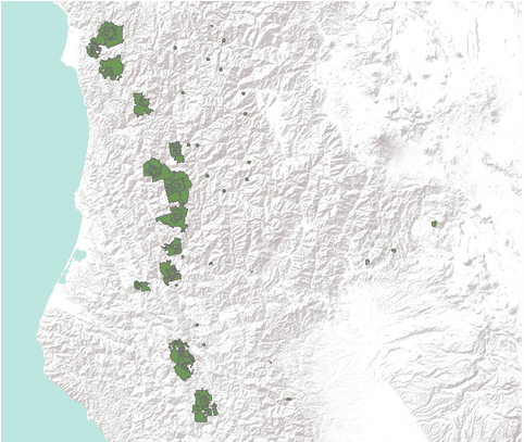 Northern California Peregrine Falcon Habitat - United States Of America - Transparent PNG Free Download | PNGio