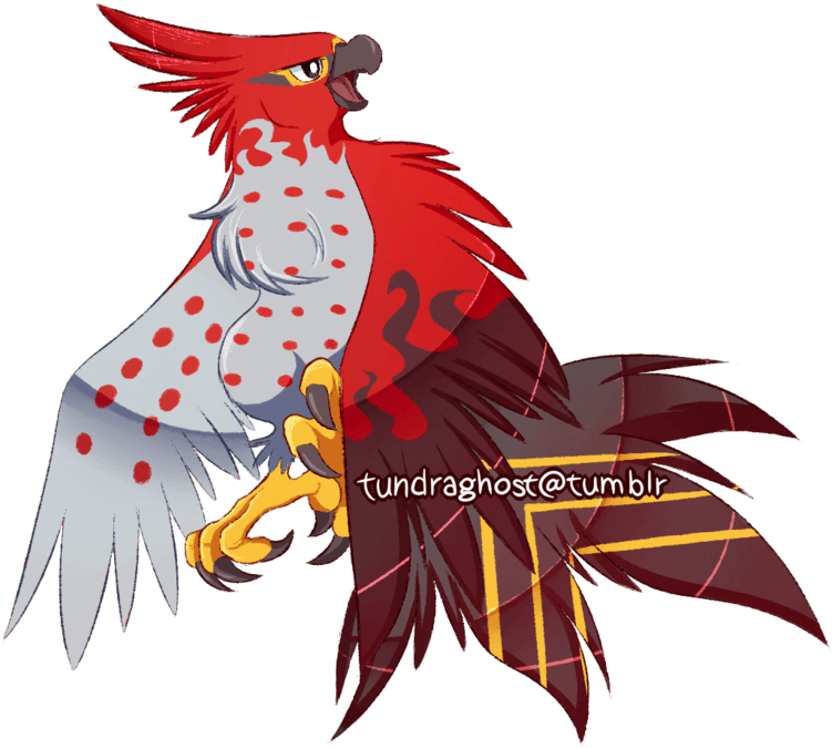 Another Old One From 2016 This Time It's A Talonflame - Parrot - Transparent PNG Free Download | PNGio