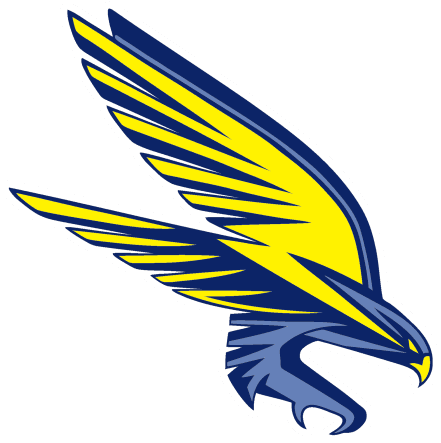 Falcon - Spring Woods Middle School - Transparent PNG Free Download | PNGio