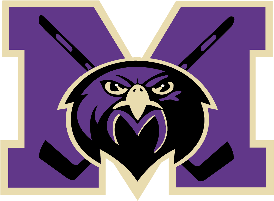 Png Free Download The Official Website Of Monroe Falcons - Illustration - Transparent PNG Free Download | PNGio