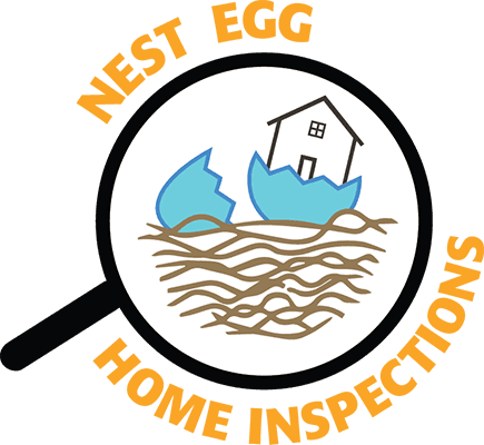 Nose On The Snowman - Transparent PNG Free Download | PNGio