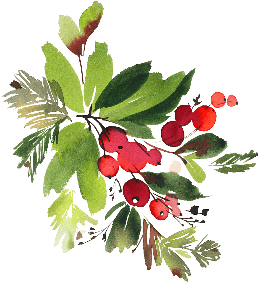 Snowman Watercolor Flowers Png - Christmas Holly Watercolour Clipart - Transparent PNG Free Download | PNGio