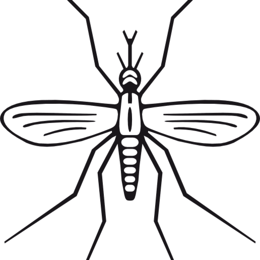 Mosquito Clipart Clip Art At Clker Vector Online Royalty - Mosquito Clip Art - Transparent PNG Free Download | PNGio