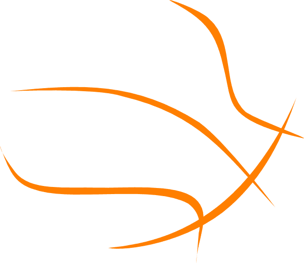 Basketball Transparent Outline Clip Art Black And White Basketball Outline Free Transparent PNG Clipart Images Download. - Transparent PNG Free Download | PNGio