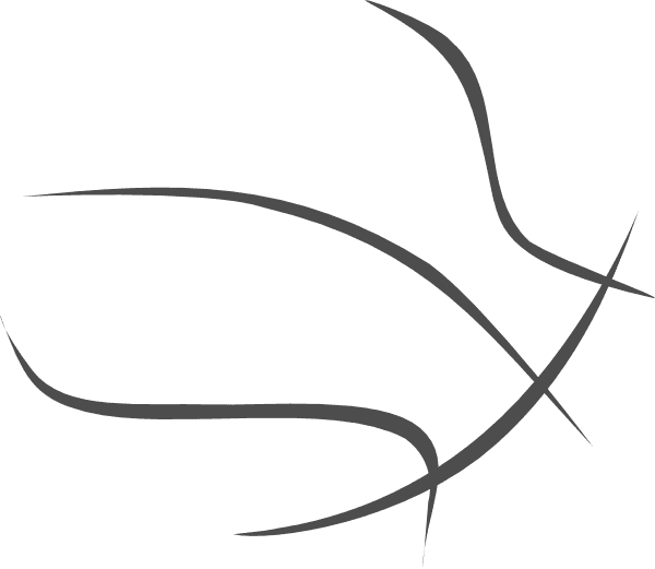 Basketball Transparent Outline Clip Art At Clker Basketball Clipart Black And White Free Transparent PNG Clipart Images Download. - Transparent PNG Free Download | PNGio