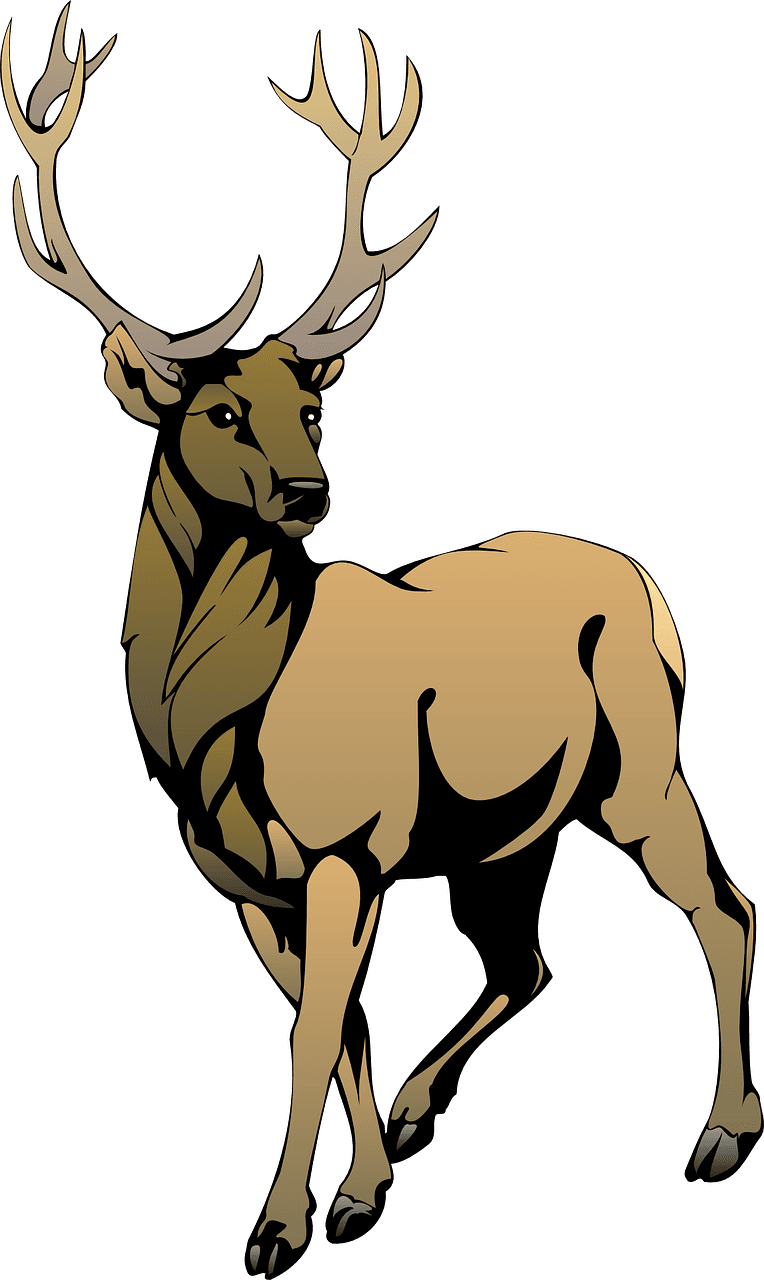 Stag Clipart Animal Duke Blue Devils Men's Basketball Free Transparent PNG Clipart Images Download. - Transparent PNG Free Download | PNGio