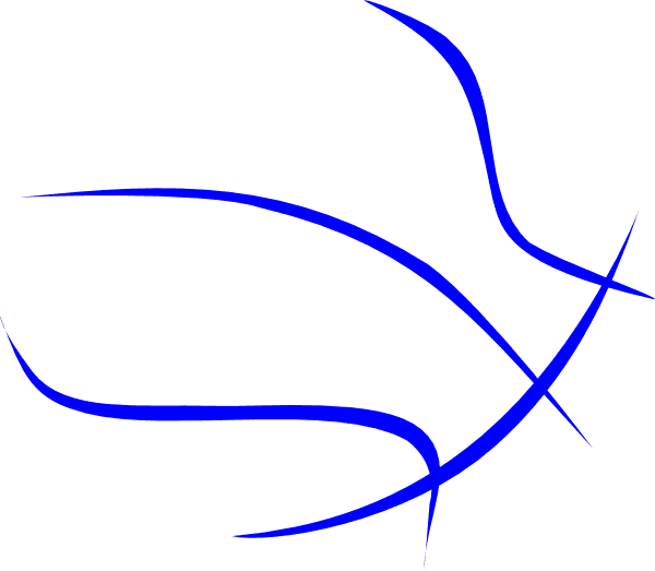 Basketball Blue Outline Clip Art At Clker Com Vector Black And White Basketball Outline Free Transparent PNG Clipart Images Download. - Transparent PNG Free Download | PNGio