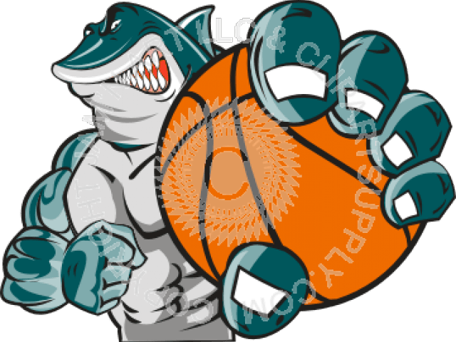 Shark Clipart Basketball Shark With A Basketball Free Transparent PNG Clipart Images Download - Transparent PNG Free Download | PNGio
