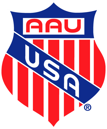 Chick Fil A Fall Sports Fest Aau Basketball Logo Png Free Transparent PNG Clipart Images Download - Transparent PNG Free Download | PNGio