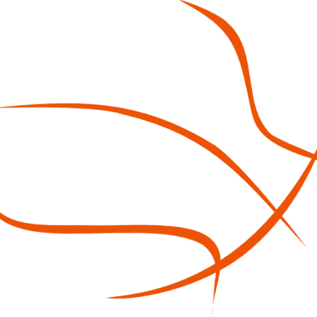 Spring Training Camp - Ball Black Basketball Png - Free Transparent PNG Clipart Images Download. ClipartMax.com - Transparent PNG Free Download | PNGio