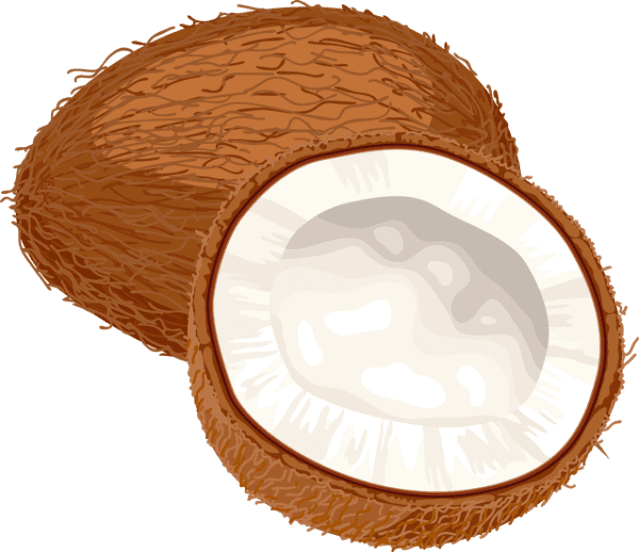 Coconut Curry Clipart Rh Worldartsme Com Basketball - Coconut Oil Miracle: 30+ Coconut Oil Recipes Coconut - Free Transparent PNG Clipart Images Download. ClipartMax.com - Transparent PNG Free Download | PNGio