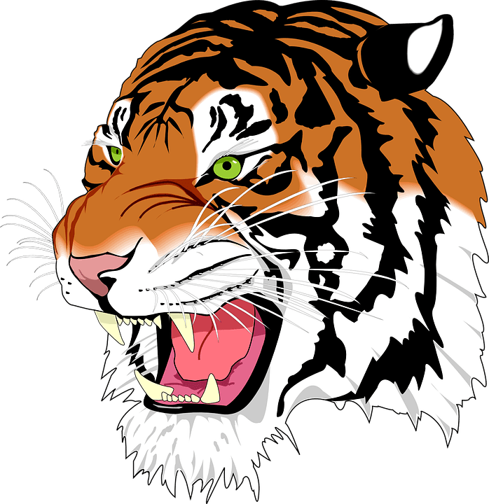 Wildcat Basketball Cliparts 12, Buy Clip Art - Svg Image Example - Free Transparent PNG Clipart Images Download. ClipartMax.com - Transparent PNG Free Download | PNGio