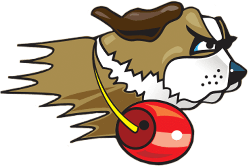 Veteran Head Coach Steve Brooks Takes Over Women's - University Of St. Francis - Free Transparent PNG Clipart Images Download. ClipartMax.com - Transparent PNG Free Download | PNGio