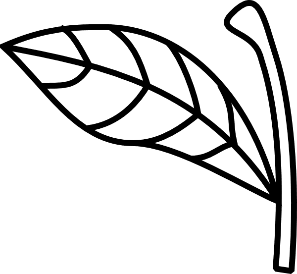 Apple Stem And Leaf - Free Transparent PNG Clipart Images Download. - Transparent PNG Free Download | PNGio