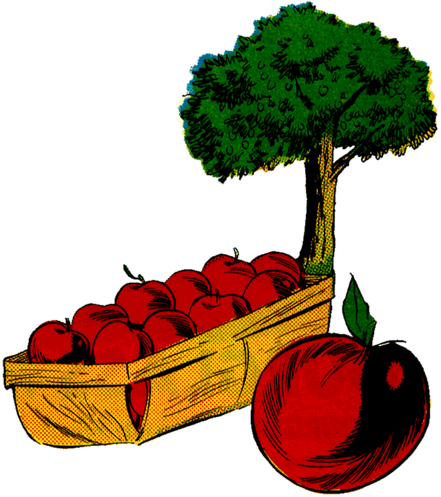 Market Apple Farm Tree Apple Tree Vintage - Vintage Illustration Apple Tree - Free Transparent PNG Clipart Images Download. - Transparent PNG Free Download | PNGio