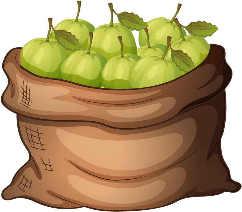 Apples - Clip Art Apples In A Bag - Free Transparent PNG Clipart Images Download. - Transparent PNG Free Download | PNGio