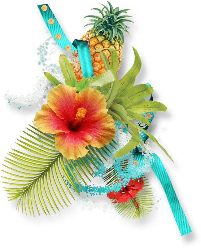 Hibiscus Clipart Download - Pen-pineapple-apple-pen Basic Tees - Free Transparent PNG Clipart Images Download. - Transparent PNG Free Download | PNGio