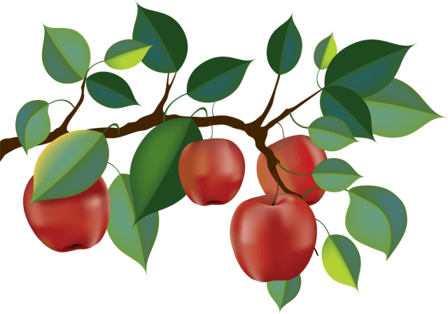 Top 88 Apple Tree Clip Art - Apple Tree Branch Clipart - Free Transparent PNG Clipart Images Download. - Transparent PNG Free Download | PNGio