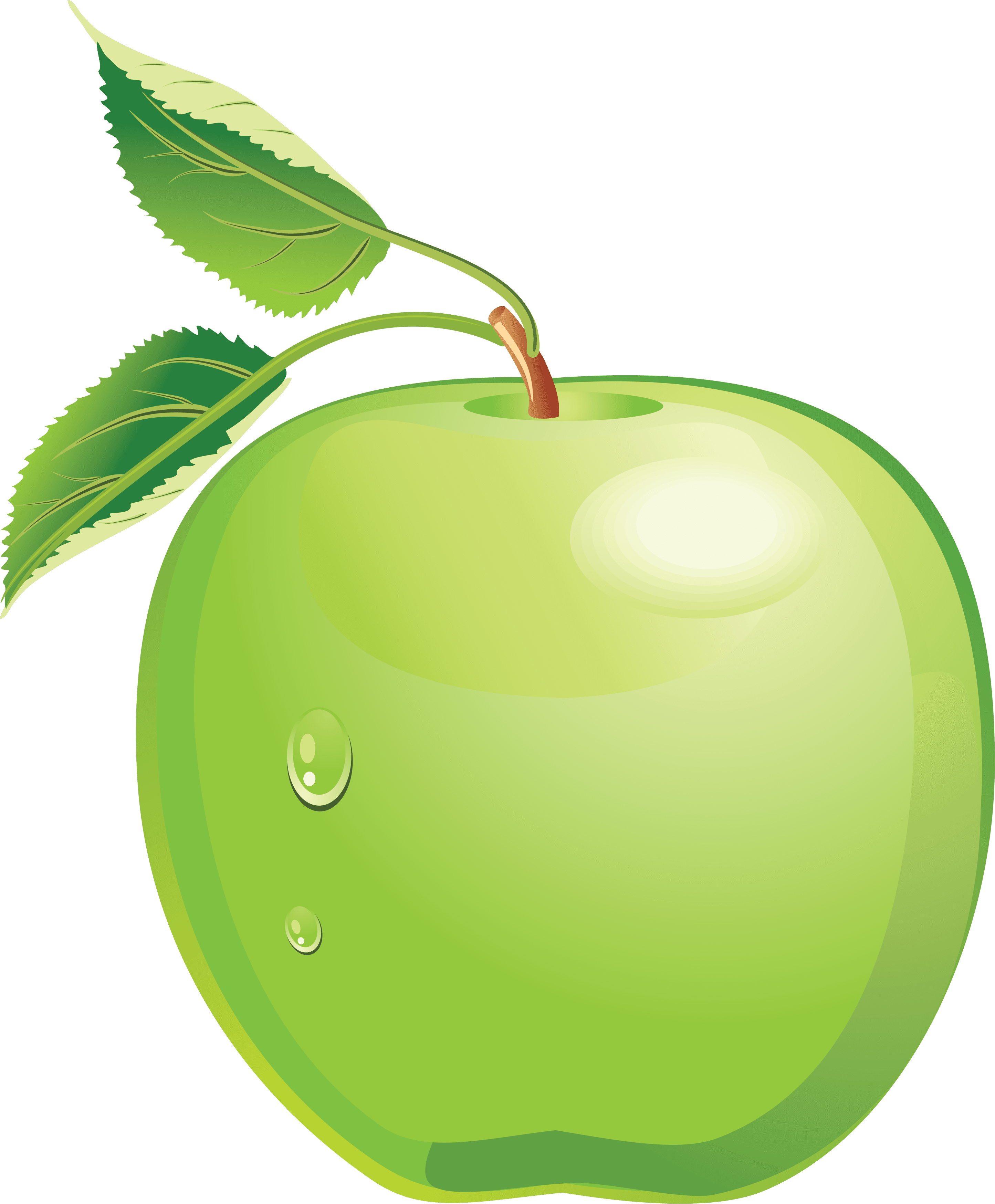 Green Apple Clip Art - Green Apple Clipart Png - Free Transparent PNG Clipart Images Download. - Transparent PNG Free Download | PNGio