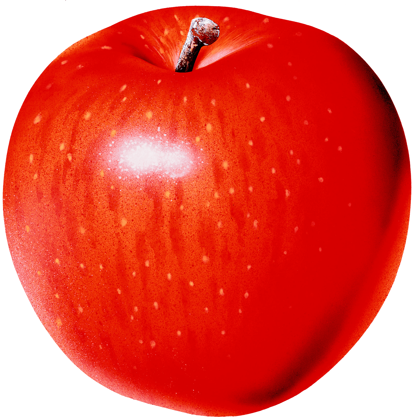 Apple Image Clipart Png - Free Transparent PNG Clipart Images Download. - Transparent PNG Free Download | PNGio