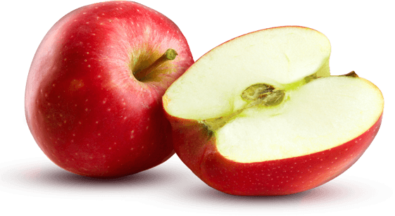 New - Cut Apple - Free Transparent PNG Clipart Images Download. - Transparent PNG Free Download | PNGio