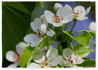 Blossoming Apple Tree Low Poly 5'x7'area Rug - Apple - Free Transparent PNG Clipart Images Download. - Transparent PNG Free Download | PNGio