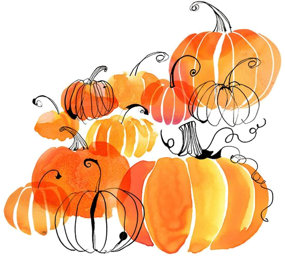 Jpg Free Pumpkin Watercolor Painting Clip - Pumpkin Illustration Transparent PNG - 571x514 - Free Download on - Apple Transparent PNG Free Download