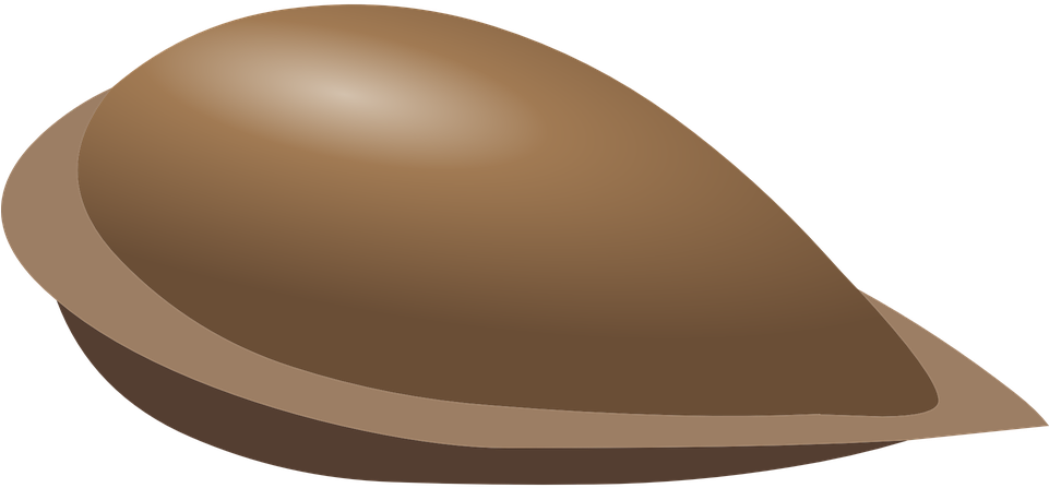 Seed Clipart Apple Pencil And In Color Clip Art Of - Apple Seed Clipart - Free Transparent PNG Clipart Images Download. - Apple Transparent PNG Free Download