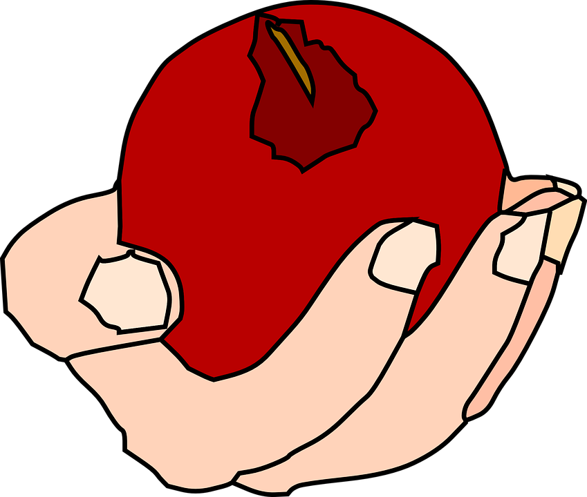Red Apple Cliparts 29, Buy Clip Art - Hand Holding Food Transparent - Free Transparent PNG Clipart Images Download. - Apple Transparent PNG Free Download
