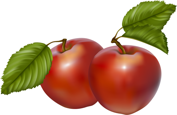 Vintage Vegetable Clip Art - Two Apples Clipart Png Transparent PNG - 750x502 - Free Download on - Apple Transparent PNG Free Download