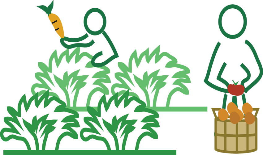 Fruits Like Apple, Oranges, Avocado, Grapes, And Vegetables - Organic Farming - Free Transparent PNG Clipart Images Download. - Apple Transparent PNG Free Download